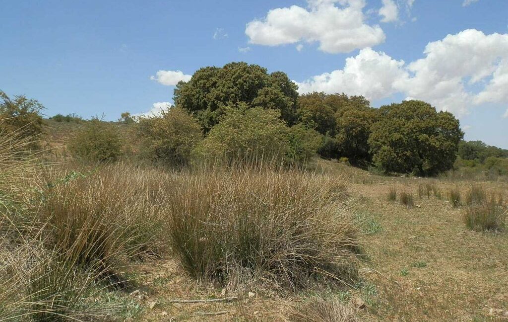 603_fincas-en-venta-055