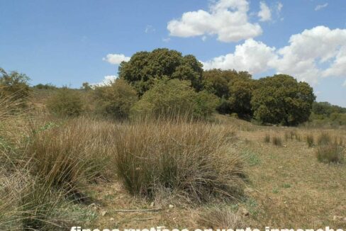 603_fincas-en-venta-055