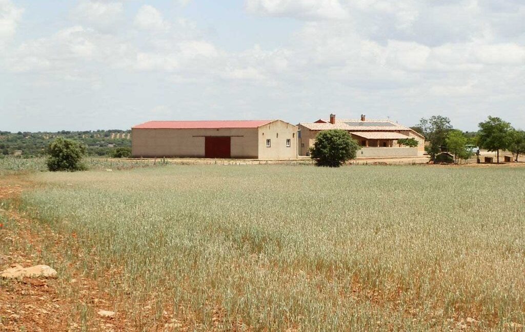 603_fincas-en-venta-056