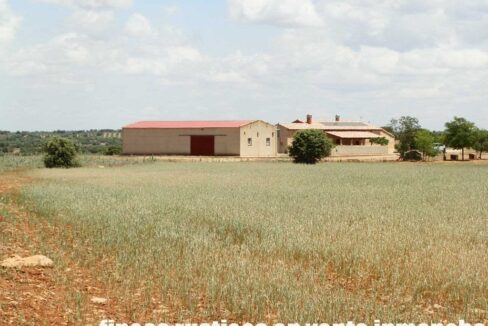 603_fincas-en-venta-056
