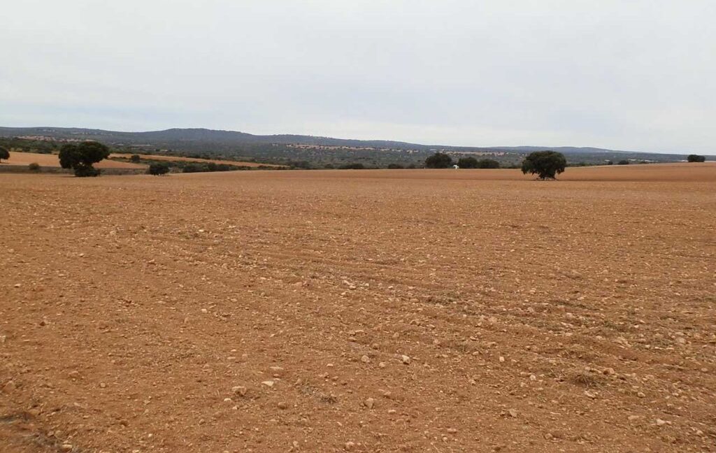 611_fincas-en-venta-28