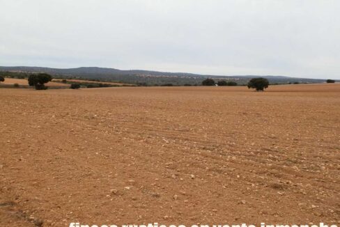 611_fincas-en-venta-28