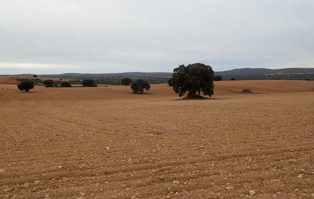 611_fincas-en-venta-30