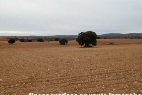 611_fincas-en-venta-30