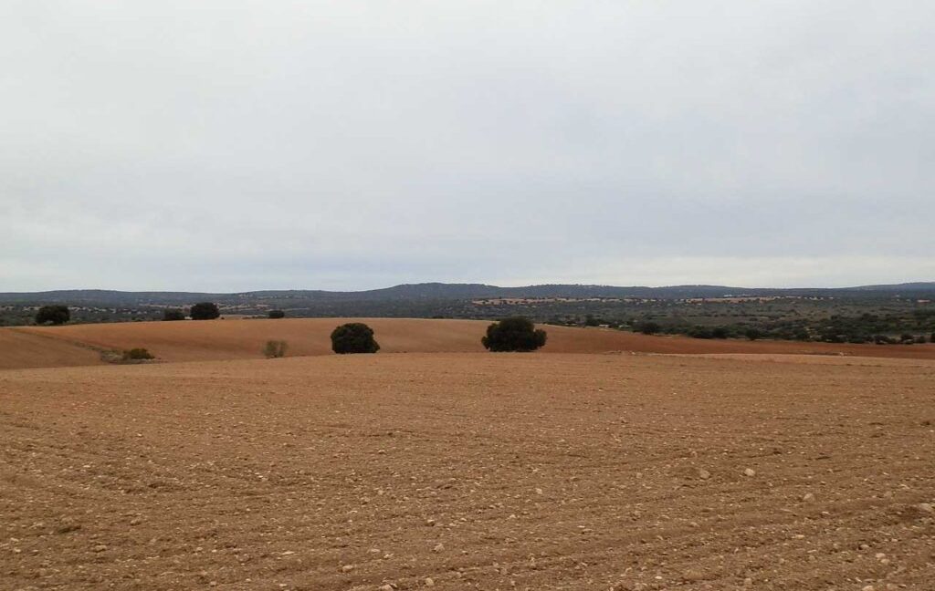 611_fincas-en-venta-31
