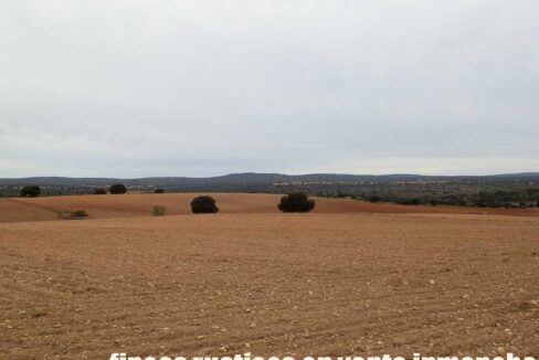 611_fincas-en-venta-31