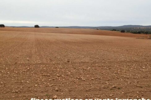 611_fincas-en-venta-32