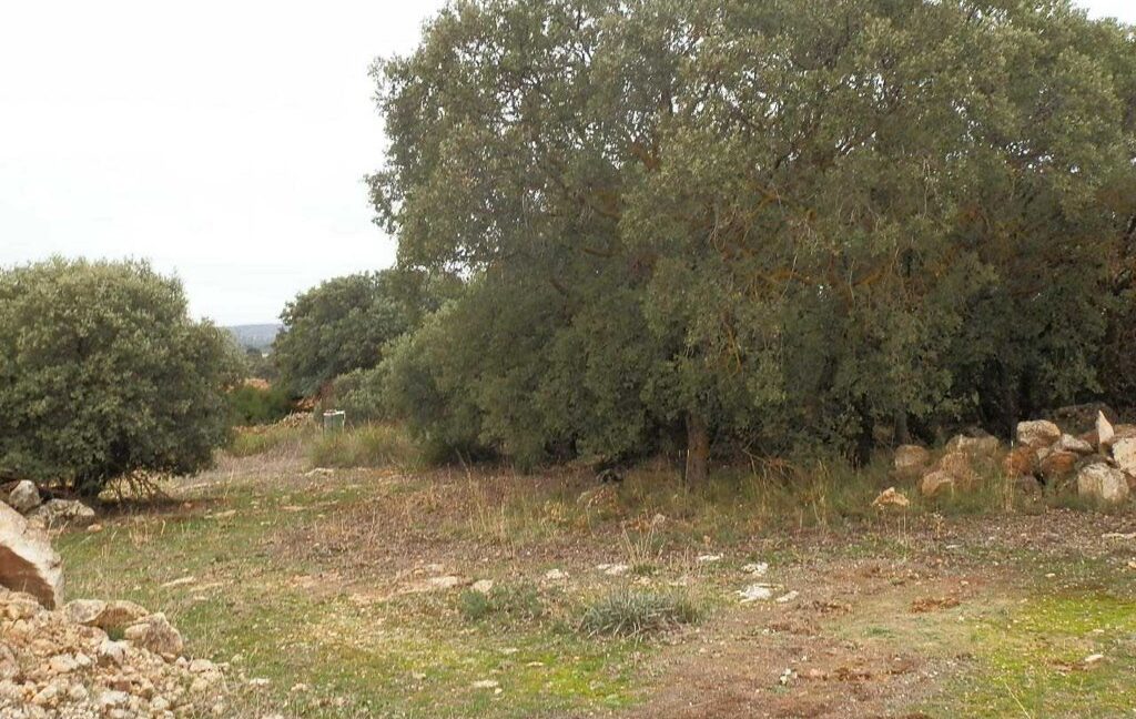 611_fincas-en-venta-34