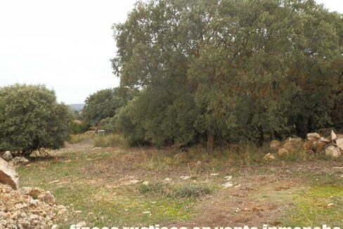 611_fincas-en-venta-34