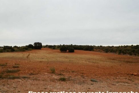 611_fincas-en-venta-39