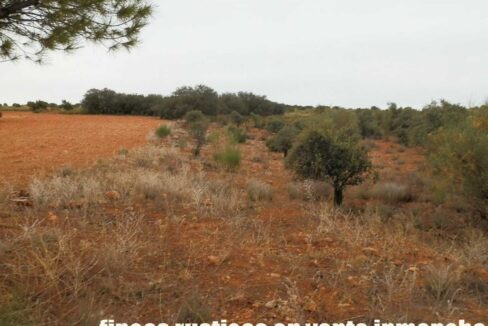 611_fincas-en-venta-40