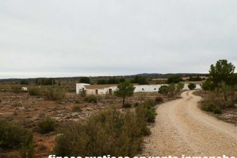 611_fincas-en-venta-42