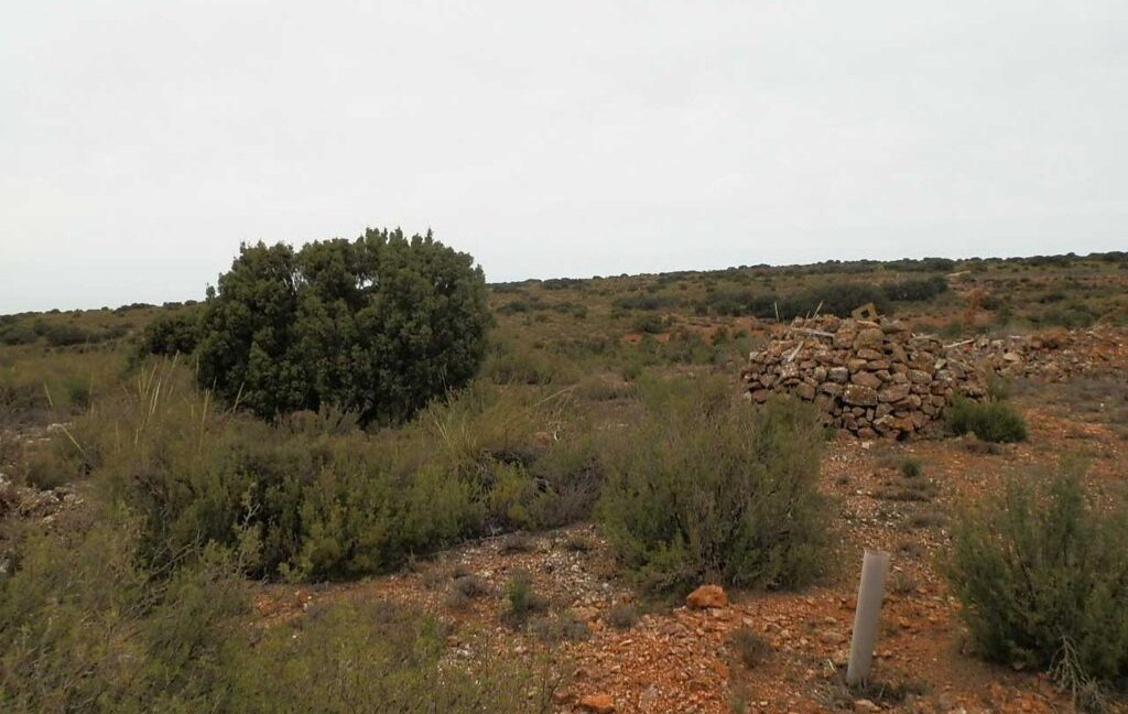 611_fincas-en-venta-44