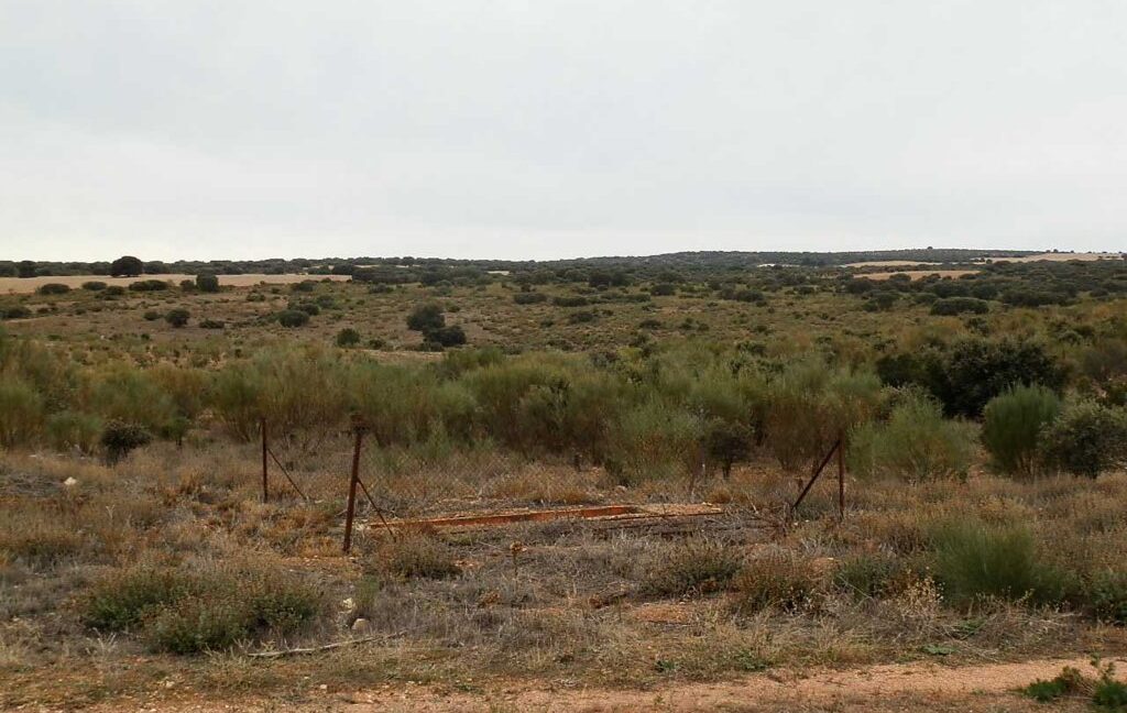 611_fincas-en-venta-53