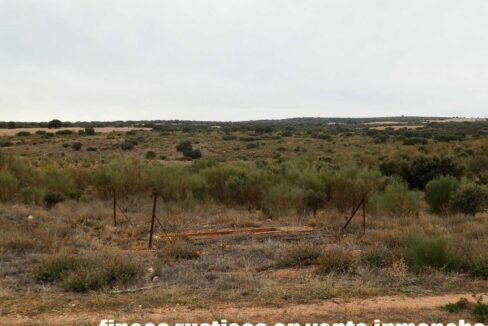 611_fincas-en-venta-53