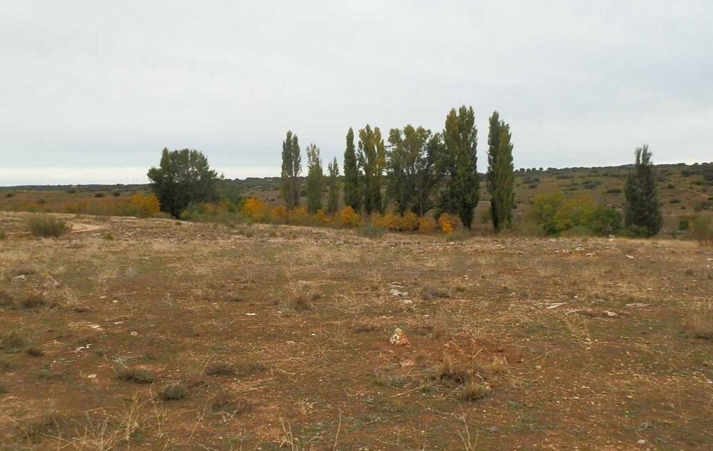611_fincas-en-venta-55