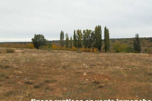 611_fincas-en-venta-55