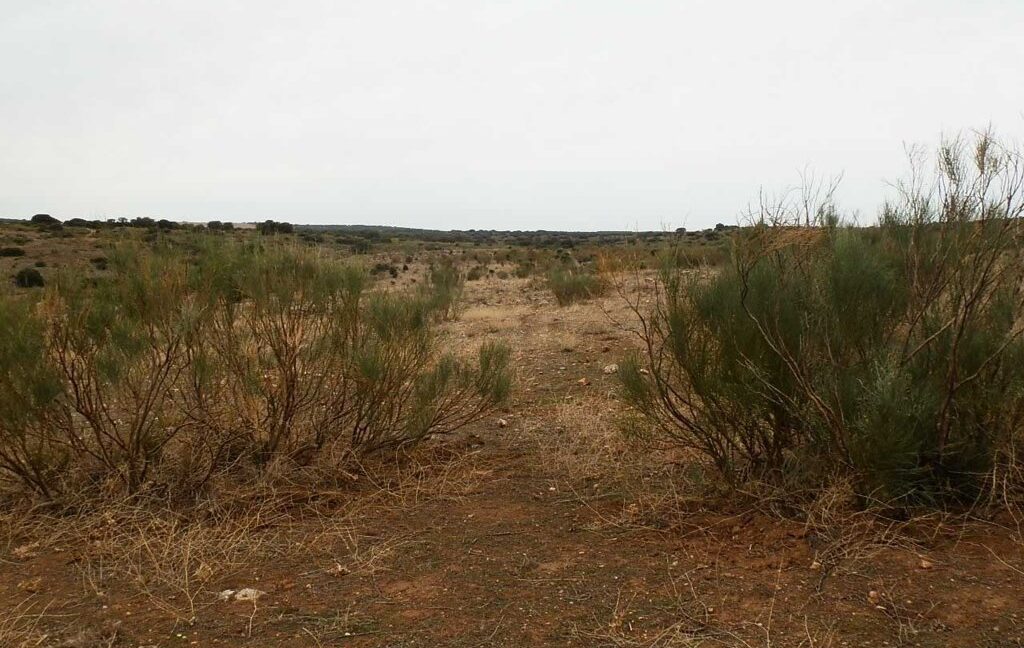 611_fincas-en-venta-56