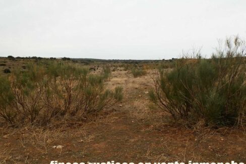 611_fincas-en-venta-56
