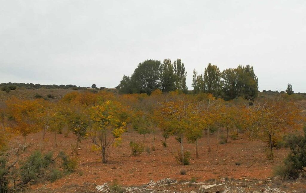 611_fincas-en-venta-58