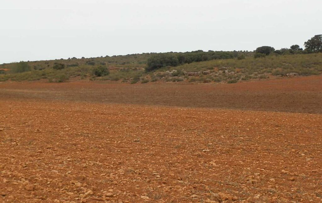611_fincas-en-venta-61