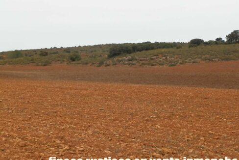 611_fincas-en-venta-61