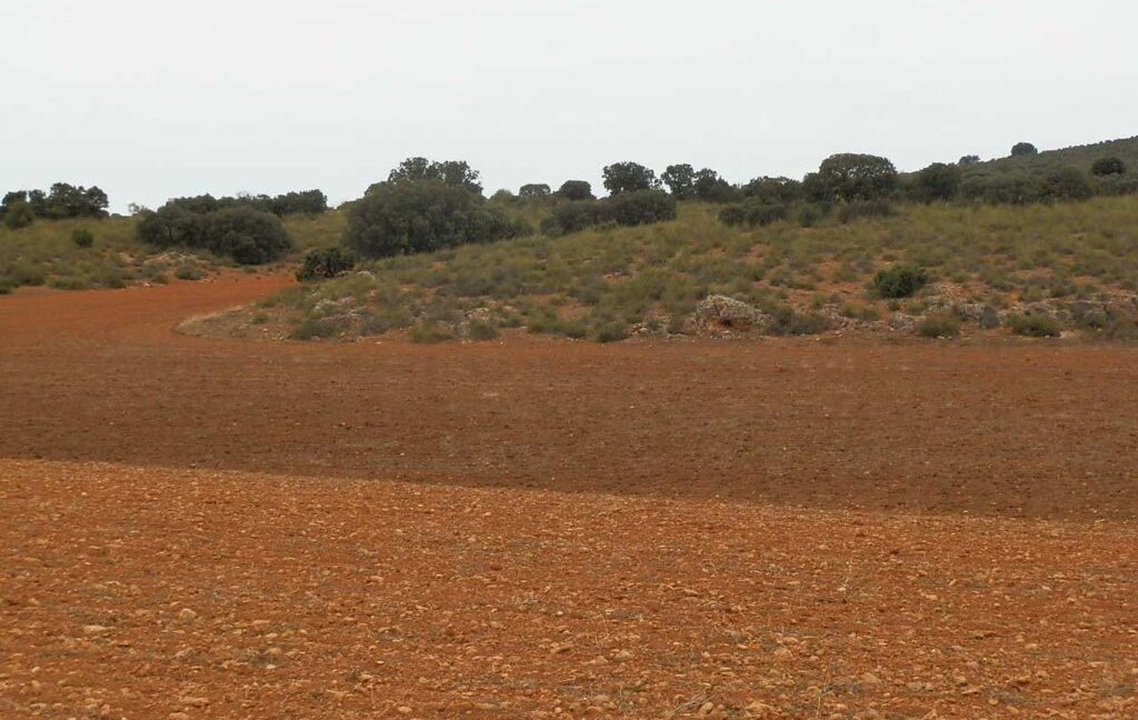 611_fincas-en-venta-62