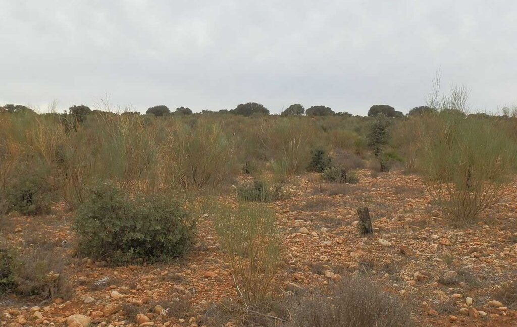 611_fincas-en-venta-63