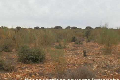 611_fincas-en-venta-63
