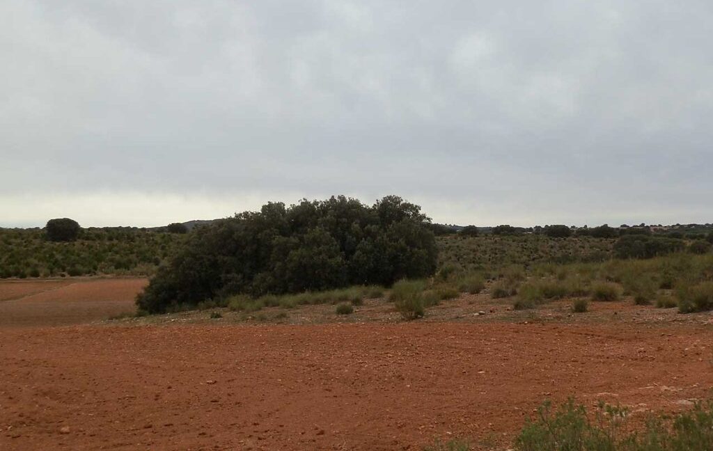 611_fincas-en-venta-64
