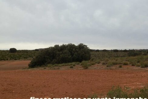 611_fincas-en-venta-64