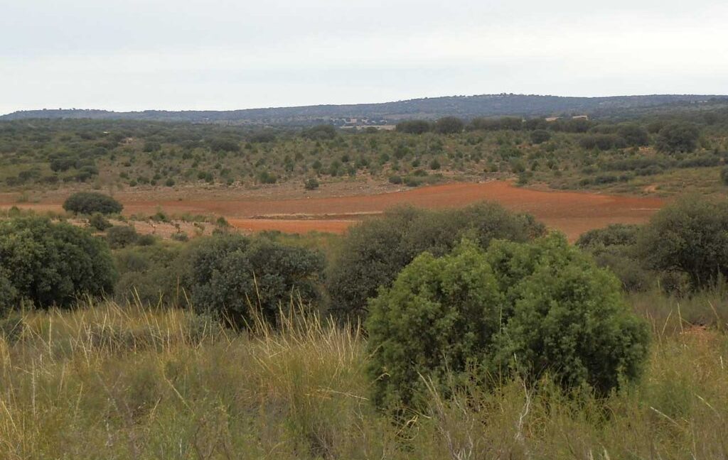611_fincas-en-venta-67