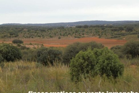 611_fincas-en-venta-67