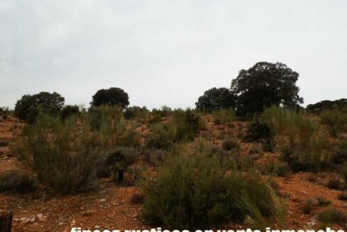 611_fincas-en-venta-68