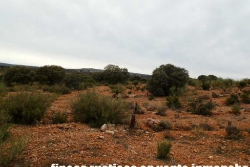 611_fincas-en-venta-69