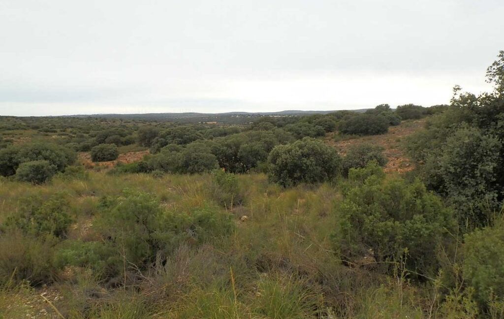 611_fincas-en-venta-70