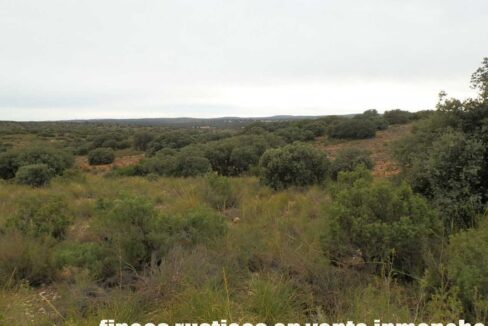 611_fincas-en-venta-70