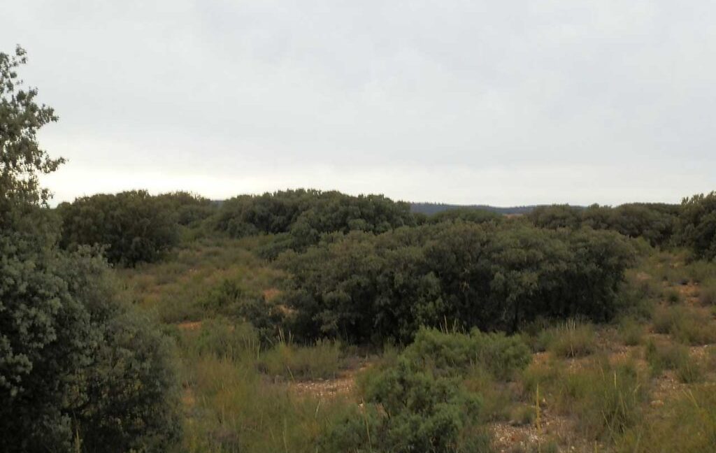 611_fincas-en-venta-71