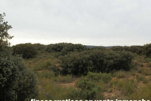 611_fincas-en-venta-71