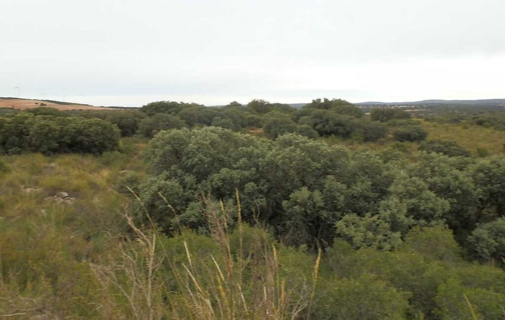 611_fincas-en-venta-72