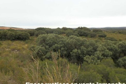 611_fincas-en-venta-72