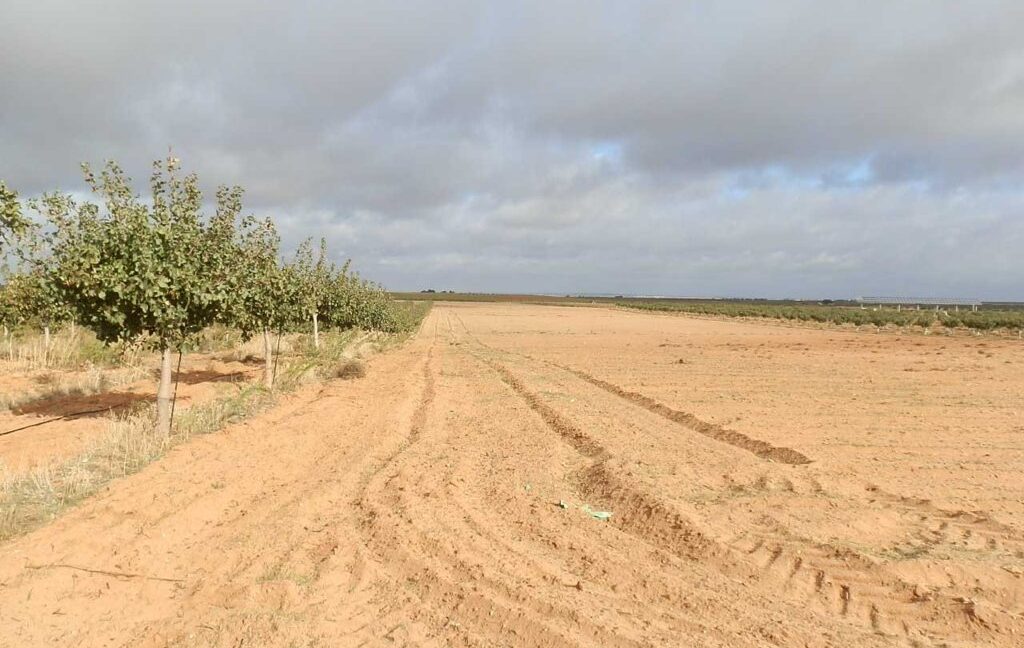 614_fincas-en-venta-14