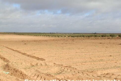 614_fincas-en-venta-15
