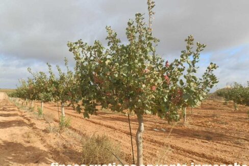614_fincas-en-venta-19