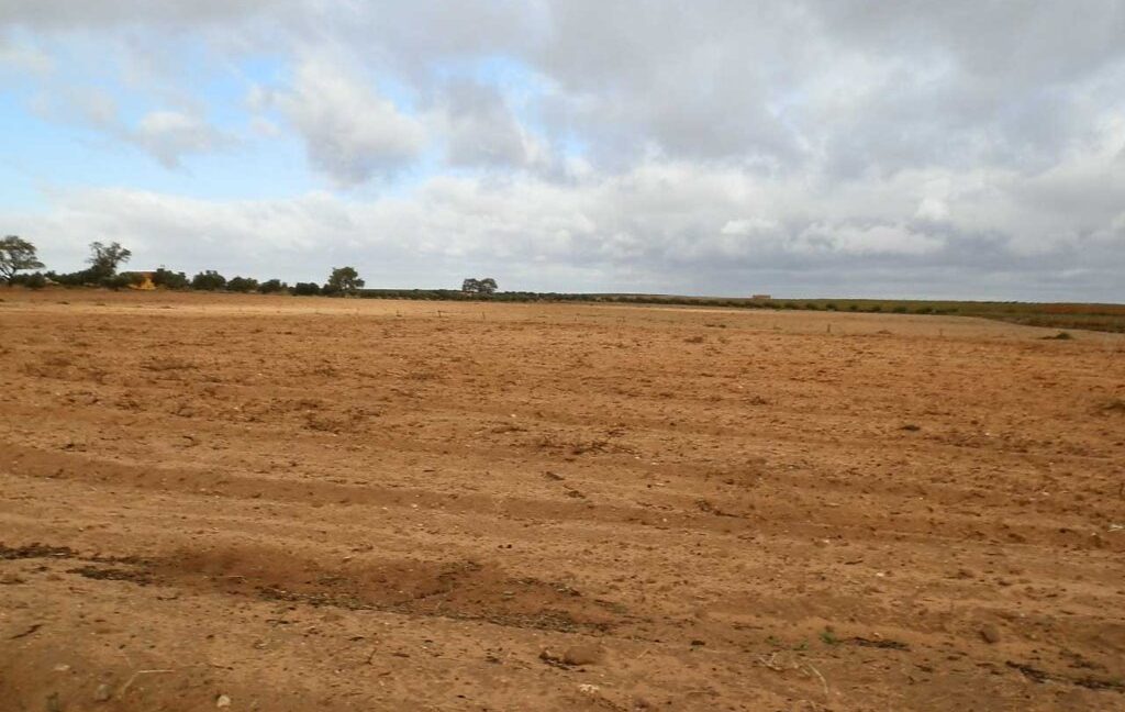 614_fincas-en-venta-33