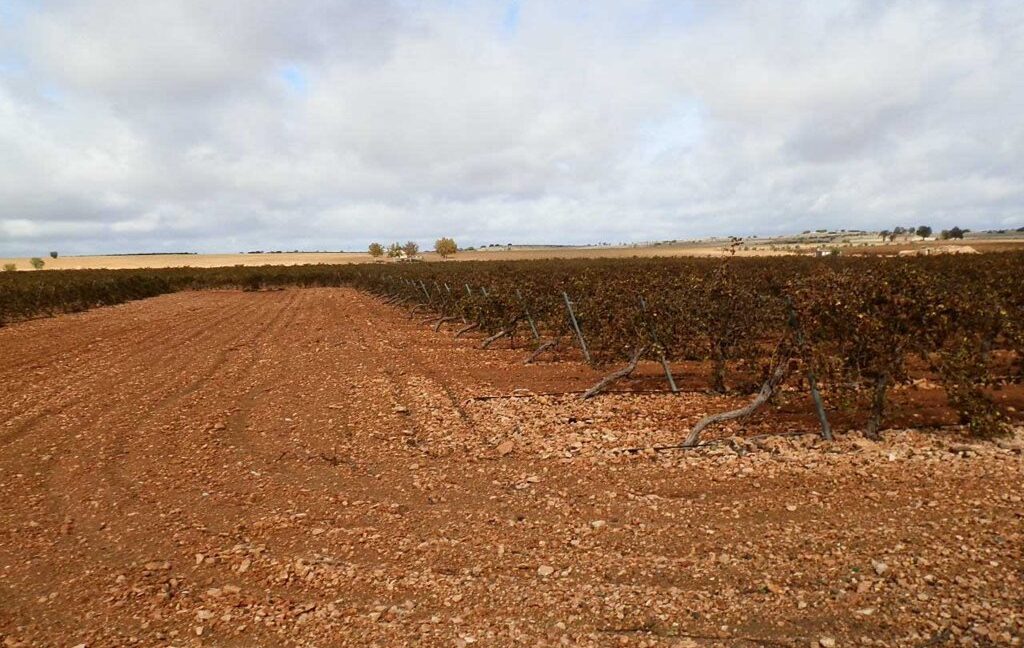 615_fincas-en-venta-003