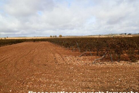 615_fincas-en-venta-003