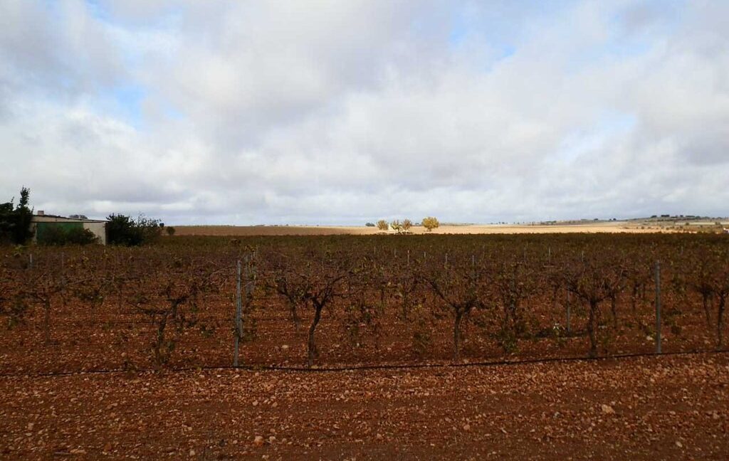 615_fincas-en-venta-005
