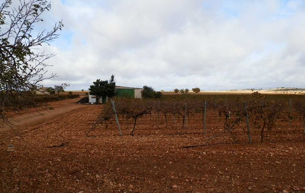 615_fincas-en-venta-006