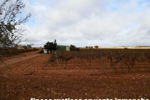 615_fincas-en-venta-006